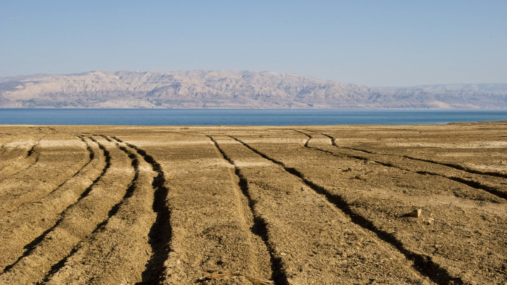 תערוכת הצילומים של עידו רוזנטל ז''ל