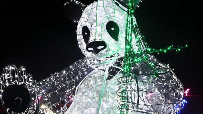 פסטיבל האור LUMAGICA גני יהושע 2025