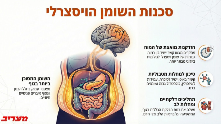 סכנות השומן הויסצרלי