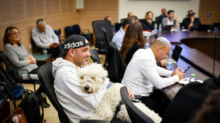 דיון בכנסת על הנגשה ושוויון זכויות לאנשים המלווים בכלבי סיוע