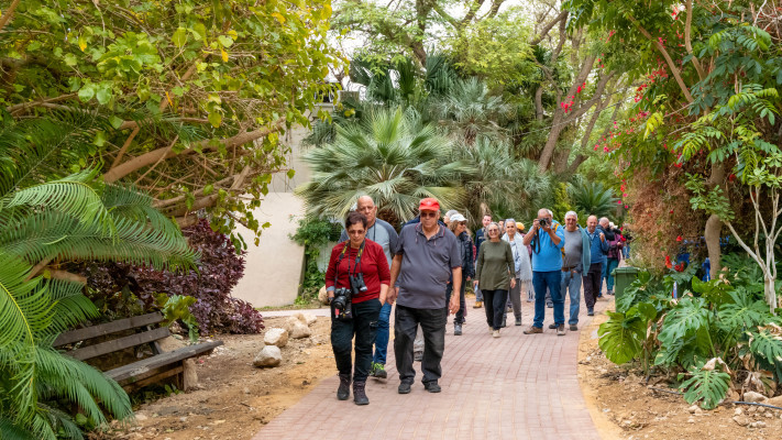 כנפי קק''ל צפרות מבוגרים במדבר יהודה