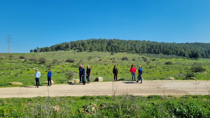מטיילים וכלניות בעמק השלום רמות מנשה 