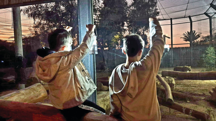 סיור עששיות במדבריום פארק החיות