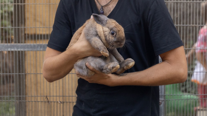 חוות חוזרים לחיות