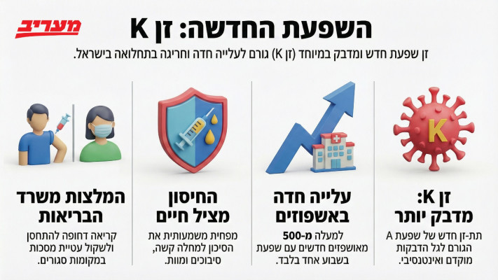 אינפוגרפיקה על הנגיף