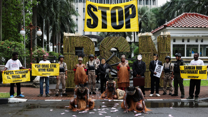 מחאה נגד בירוא היערות באינדונזיה