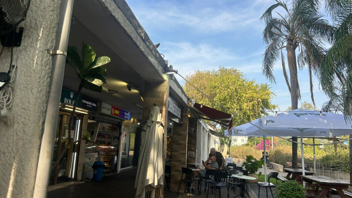 מרכז ברודצקי