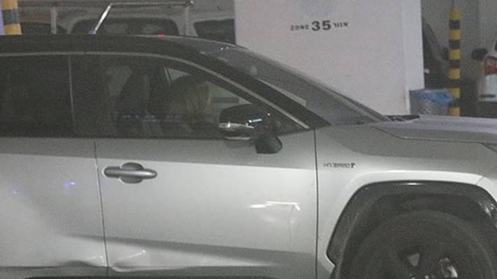 אילנה דיין (צילום: פול סגל)