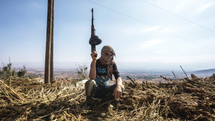 שדות מריחואנה בבקאע בלבנון