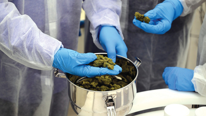 מעבדות קרונוס ישראל