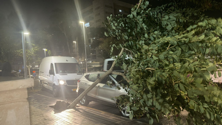 קריסת עץ על רכבת בעכו