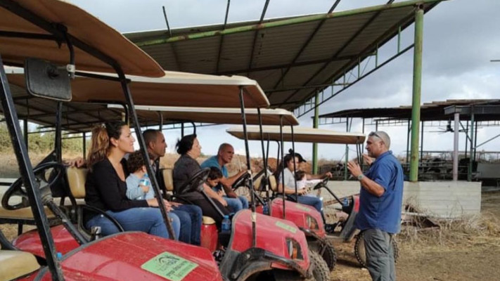 צחי דרור בעבודה 