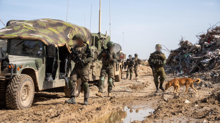 פעילות כוחות צה''ל במבצע ''לב אמיץ'' להשבתו של רס''ל רן גואילי