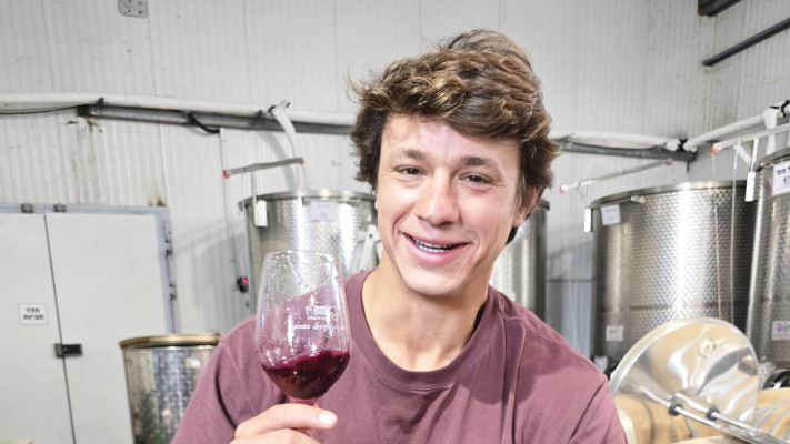 רועי מילשטיין 