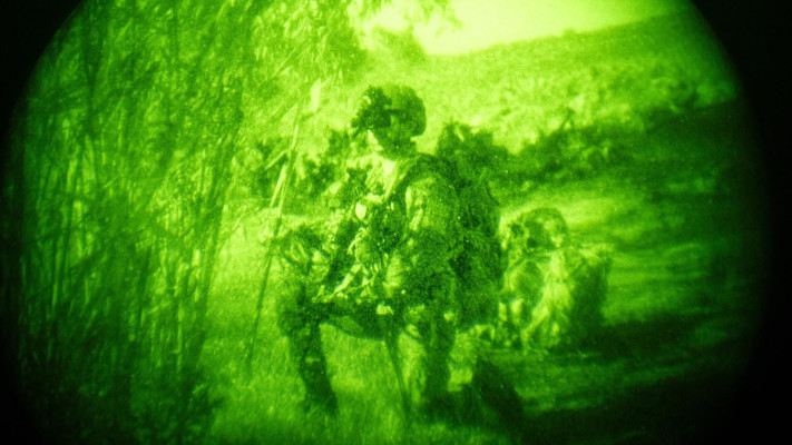 פעילות כוחות חטיבה 769 בדרום לבנון