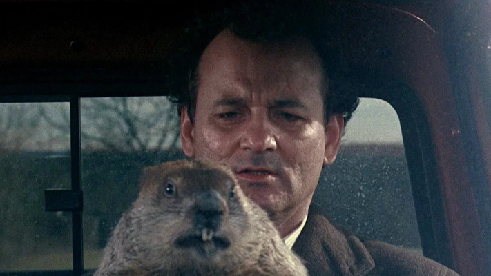 לקום אתמול בבוקר