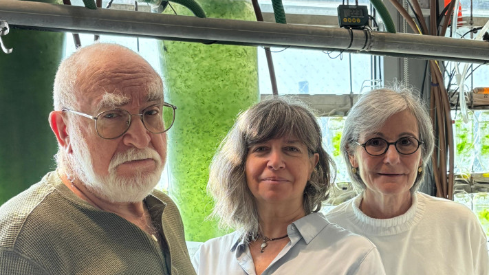 מימין לשמאל: פרופ׳ רונית קונפינו-כהן, אודיה קדר, אלכסנדר צ׳מידנוב. במעבדת האצות