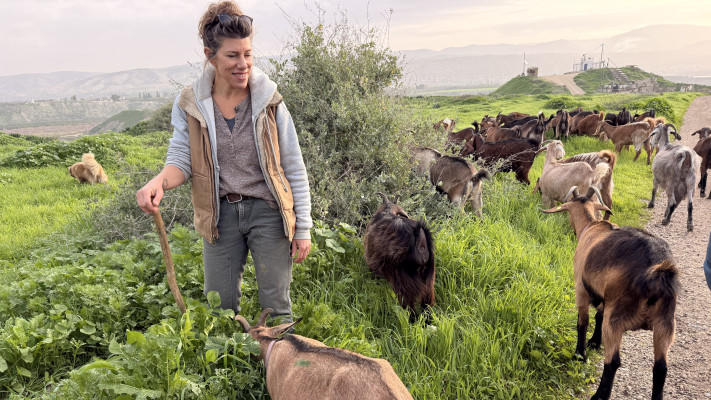 אילה שבח, ''דיר באלכ''