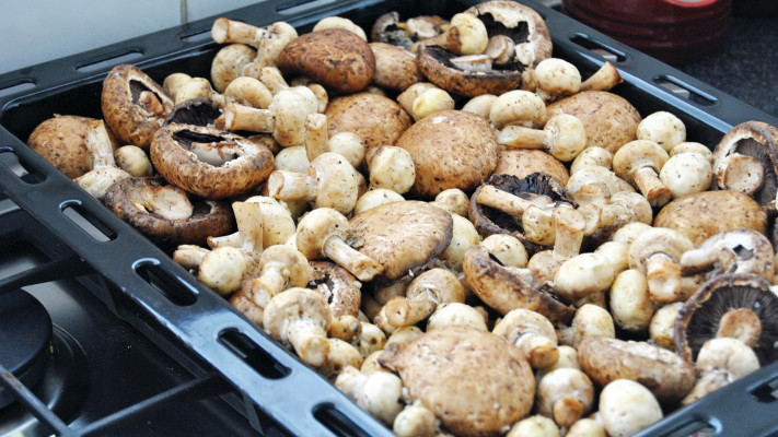 תוספת שלל פטריות