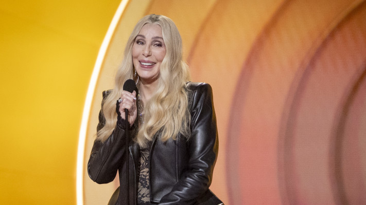 שר (צילום: Emma McIntyre/Getty Images for The Recording Academy )