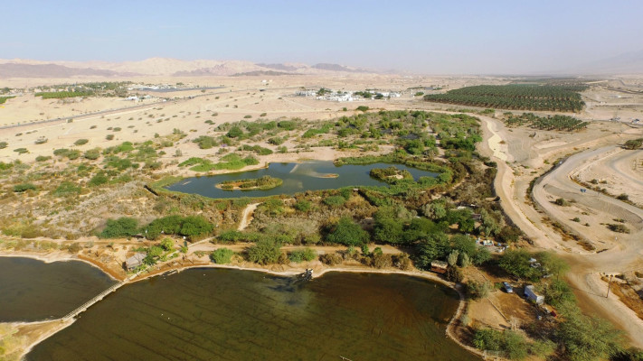 פארק הצפרות אילת