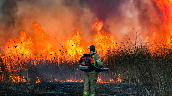 שריפה בצפון מירי חיזבאללה 