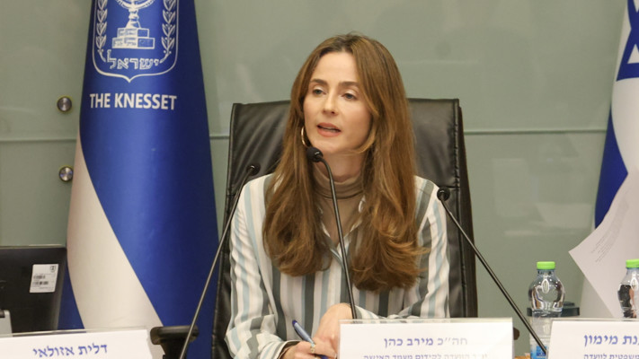 מירב כהן בדיון