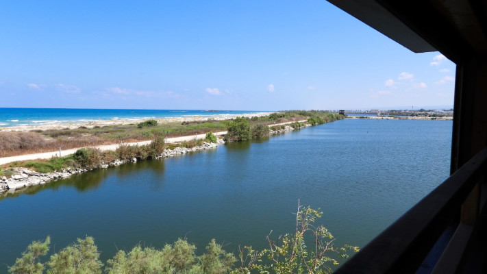 בפארק הצפרות מעגן מיכאל