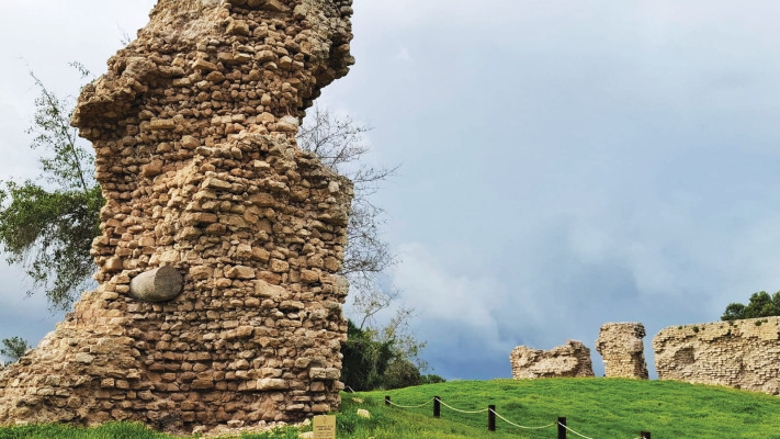 הגן הלאומי תל אשקלון