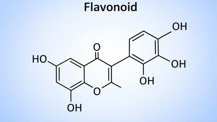 עשויים לתרום לרווחה נפשית. פלבנואידים