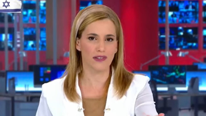 טל מאיר (צילום: צילום מסך ערוץ 14)