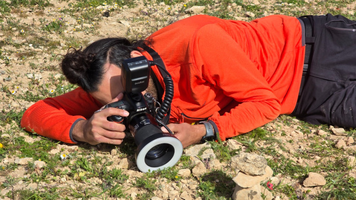 שקד מתעד את הפומה הפרסית, 2026