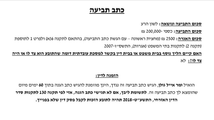 כתב התביעה נחשף ב-TMI (צילום: פרטי,מערכת TMI)