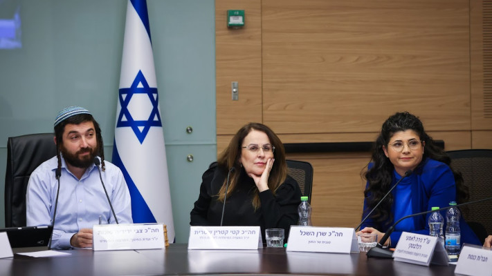 ועדת החינוך של הכנסת: שרן השכל, קטי שטרית וצבי סוכות