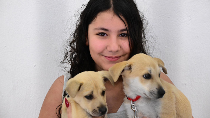 יריד אימוץ מיוחד בדיזנגוף סנטר בתל אביב