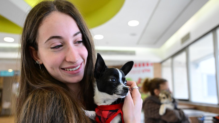 בגלל המלחמה יש ירידה חדה במספר האימוצים