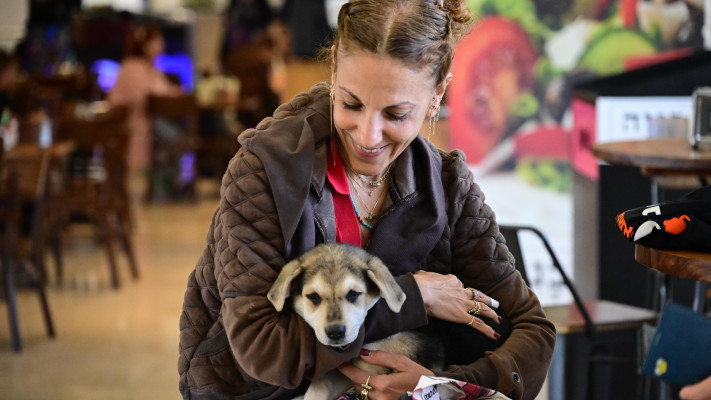 יריד אימוץ מיוחד בדיזנגוף סנטר בתל אביב