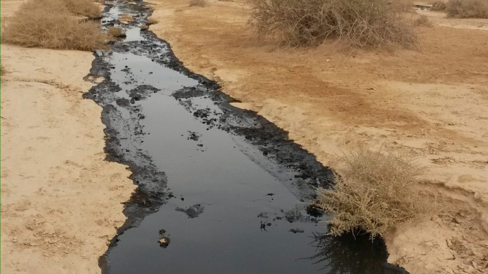 הבוקר שאחרי הדליפה