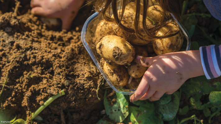 פעילות שהייתה במהלך פסחקלאי