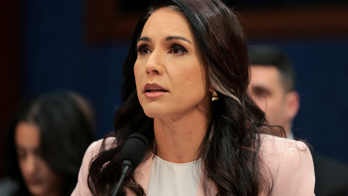 ראש המודיעין הלאומי של ארה''ב, טולסי גבארד