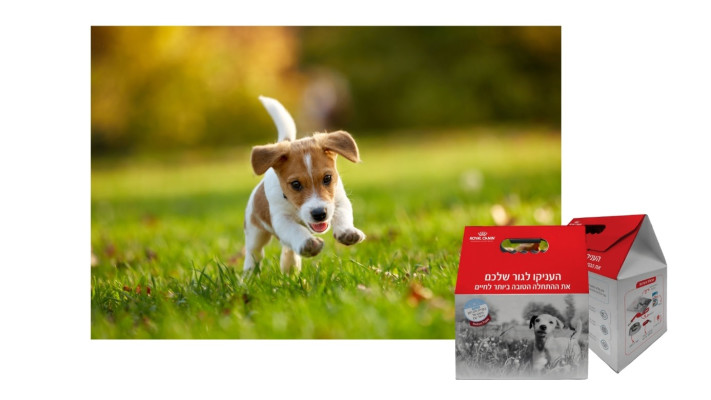  \'\'לא לבלבל בין מזון לבין אהבה\'\'