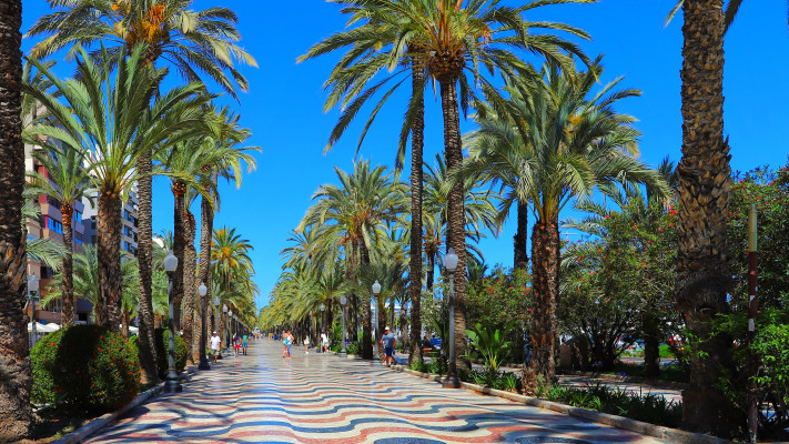 אליקנטה, ספרד