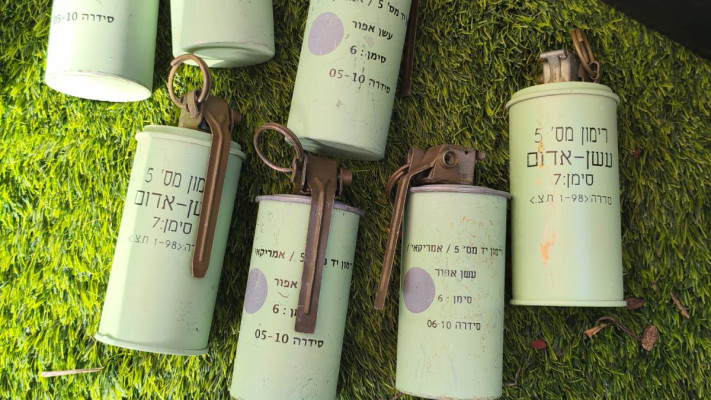 רימונים שנתפסו