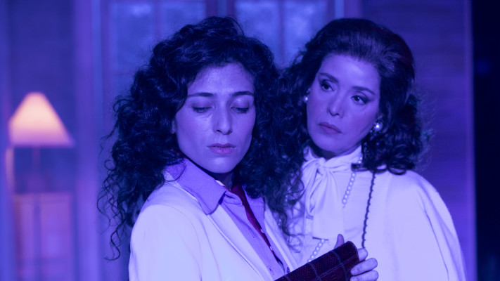 דקל ורוני דלומי במחזמר ''היומן''