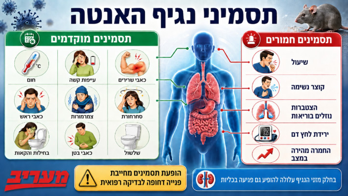 תסמיני הנגיף. בשליש עד חצי מתרחשת תמותה 