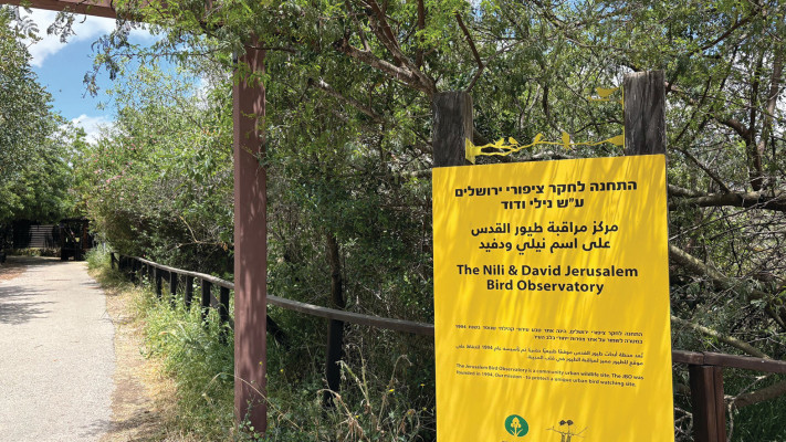 התחנה לחקר ציפורי ירושלים