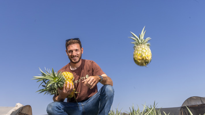 עופרי ניר