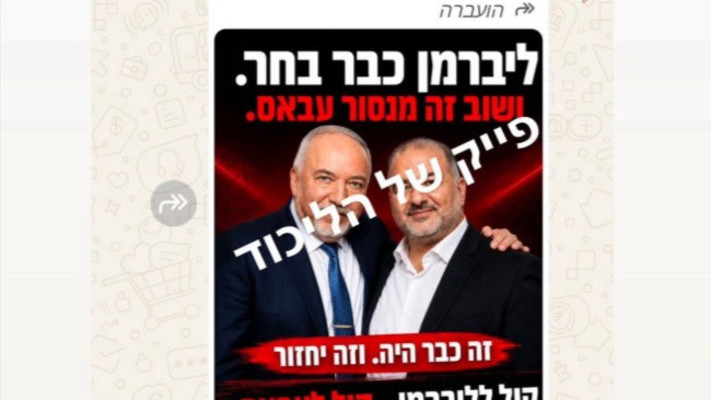 הקמפיין של הליכוד: אביגדור ליברמן ומנסור עבאס (צילום: צילום מסך רשת X)