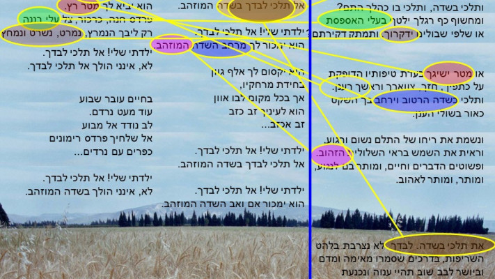 ההצטלבויות בין השירים ''את תלכי בשדה'' ו''שדות גולדברג''