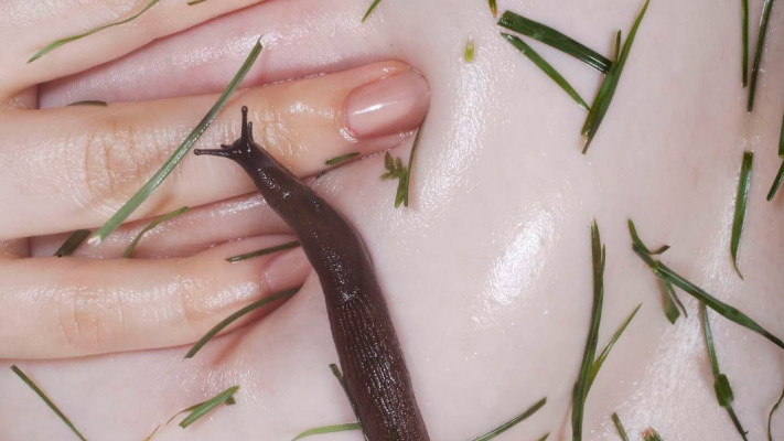 Slug, from the series grass, peonie, bum, מייזי קאזינס